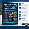 Cross Sectional Anatomy Study Guide PDF, CT MRI Notes, ARRT Board Exam Prep, 120 Practice Questions, Rad Tech Digital Download, Multiplanar
