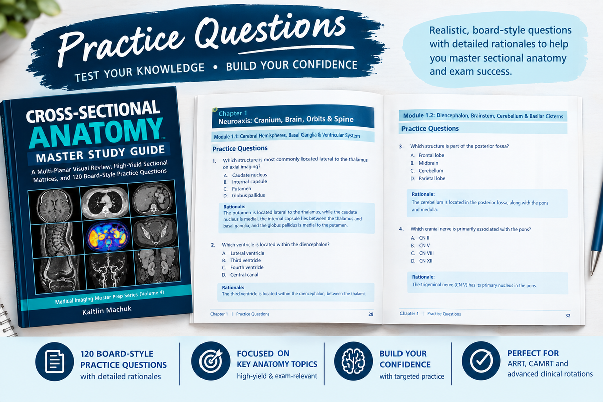 Cross Sectional Anatomy Study Guide PDF, CT MRI Notes, ARRT Board Exam Prep, 120 Practice Questions, Rad Tech Digital Download, Multiplanar